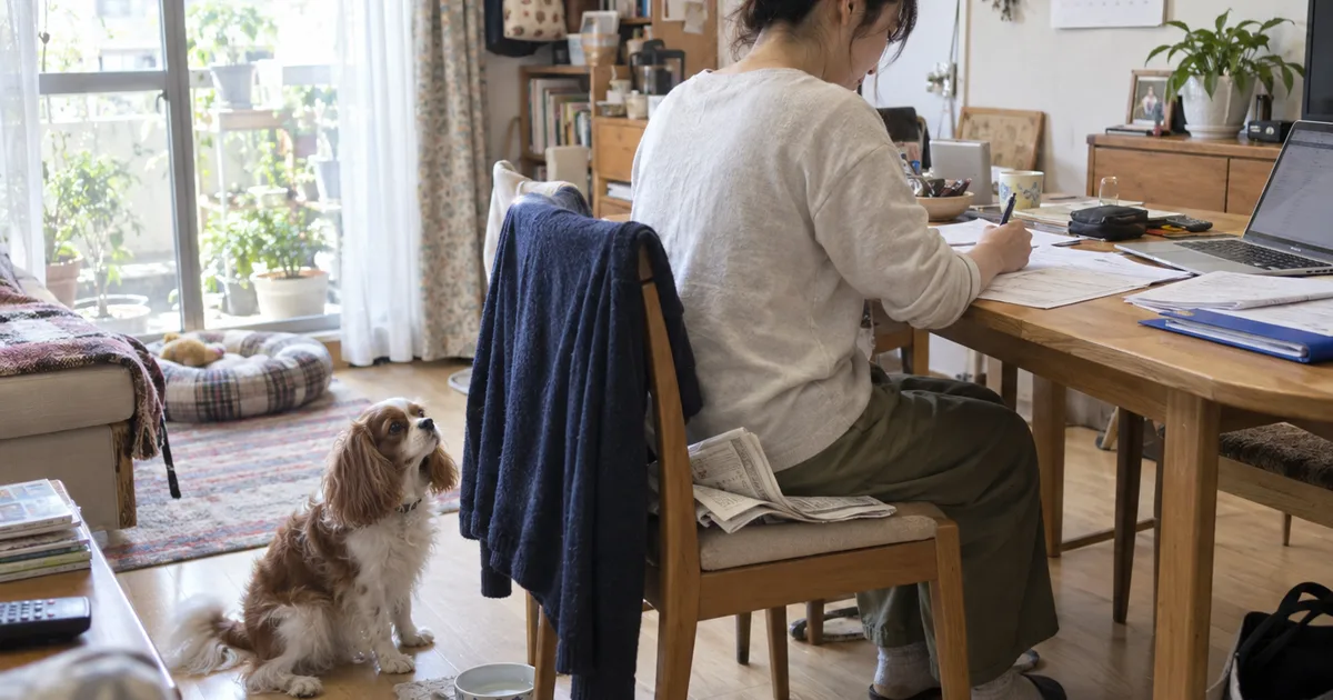 食卓で書類に記入する30代の女性と、床に座るキャバリア