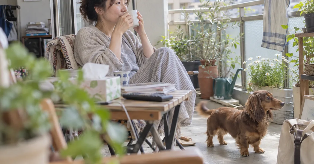 マンションのベランダでお茶を飲む30代の女性とミニチュアダックスフンド