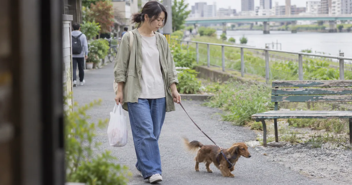 河川敷沿いの道をミニチュアダックスフンドと散歩する30代の女性
